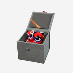 Lion of Gentle Blessings (Small)